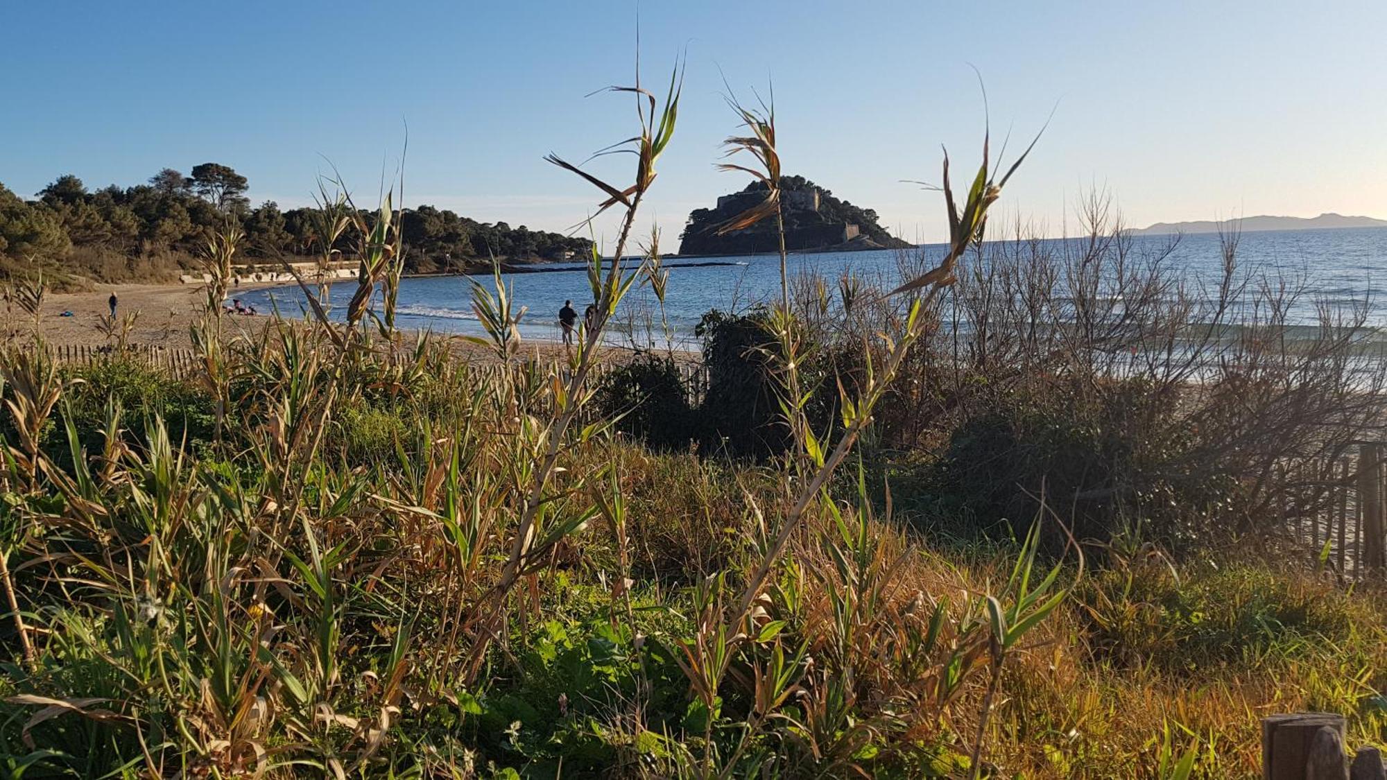 Rez De Jardin T3 Recent Et Calme Au Nouvelles Terres A La Londe Les Maures公寓 外观 照片