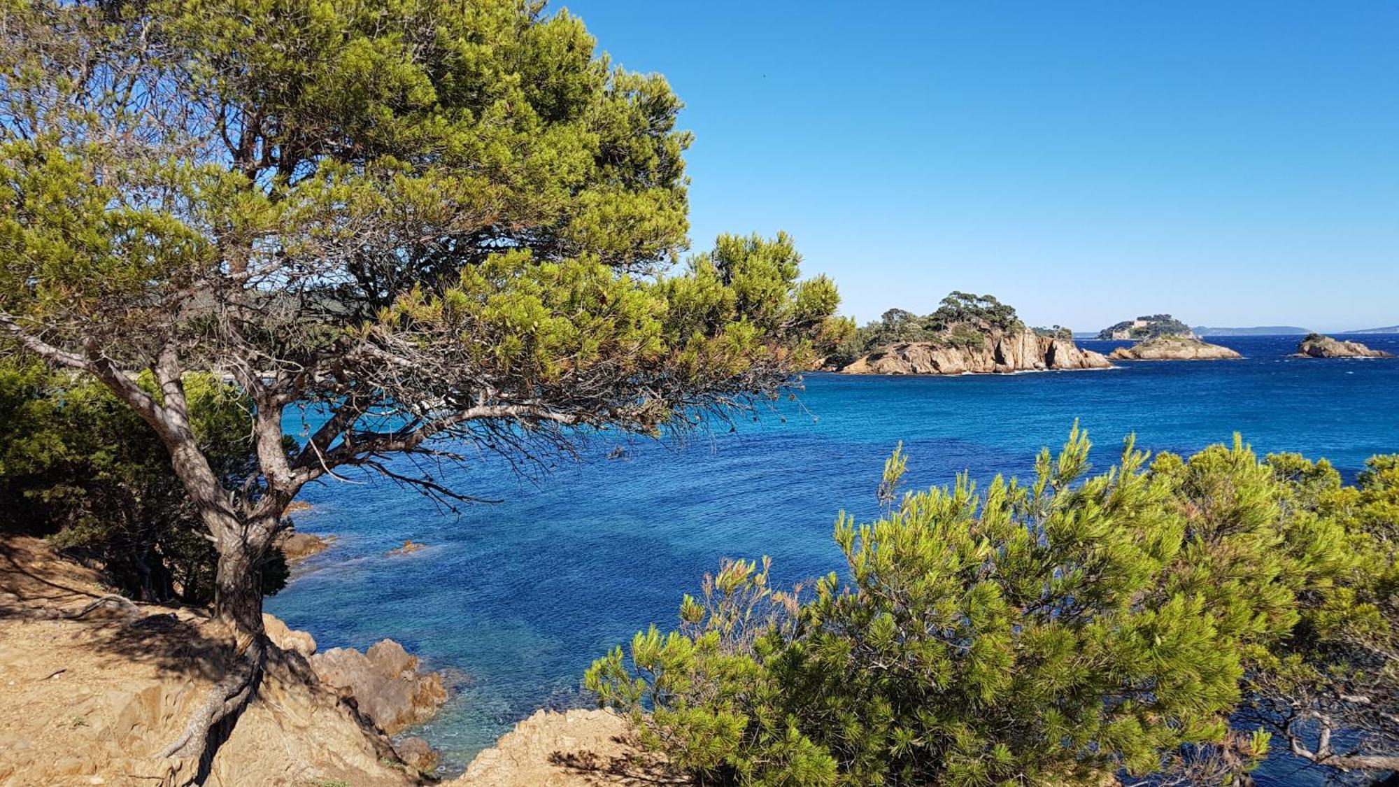 Rez De Jardin T3 Recent Et Calme Au Nouvelles Terres A La Londe Les Maures公寓 外观 照片