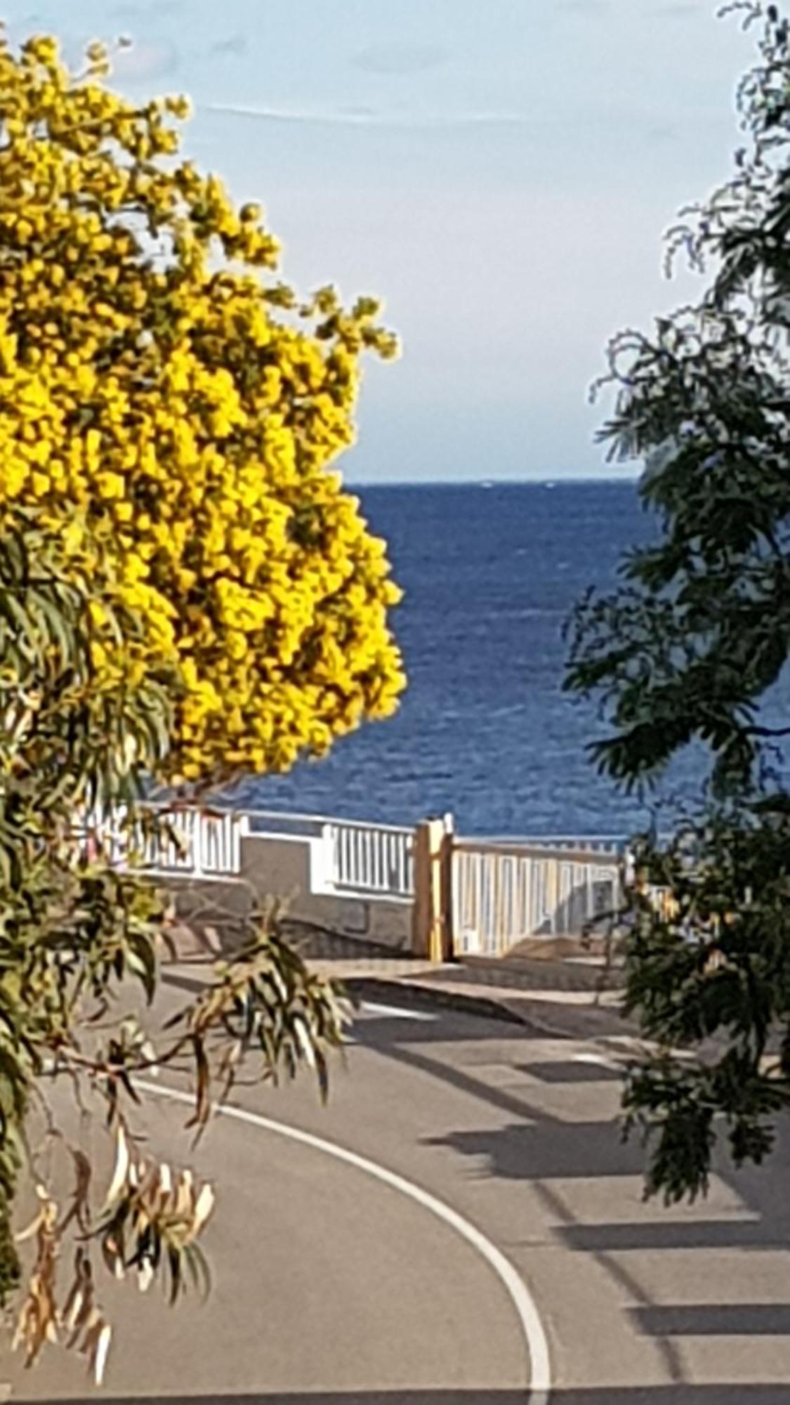 Rez De Jardin T3 Recent Et Calme Au Nouvelles Terres A La Londe Les Maures公寓 外观 照片