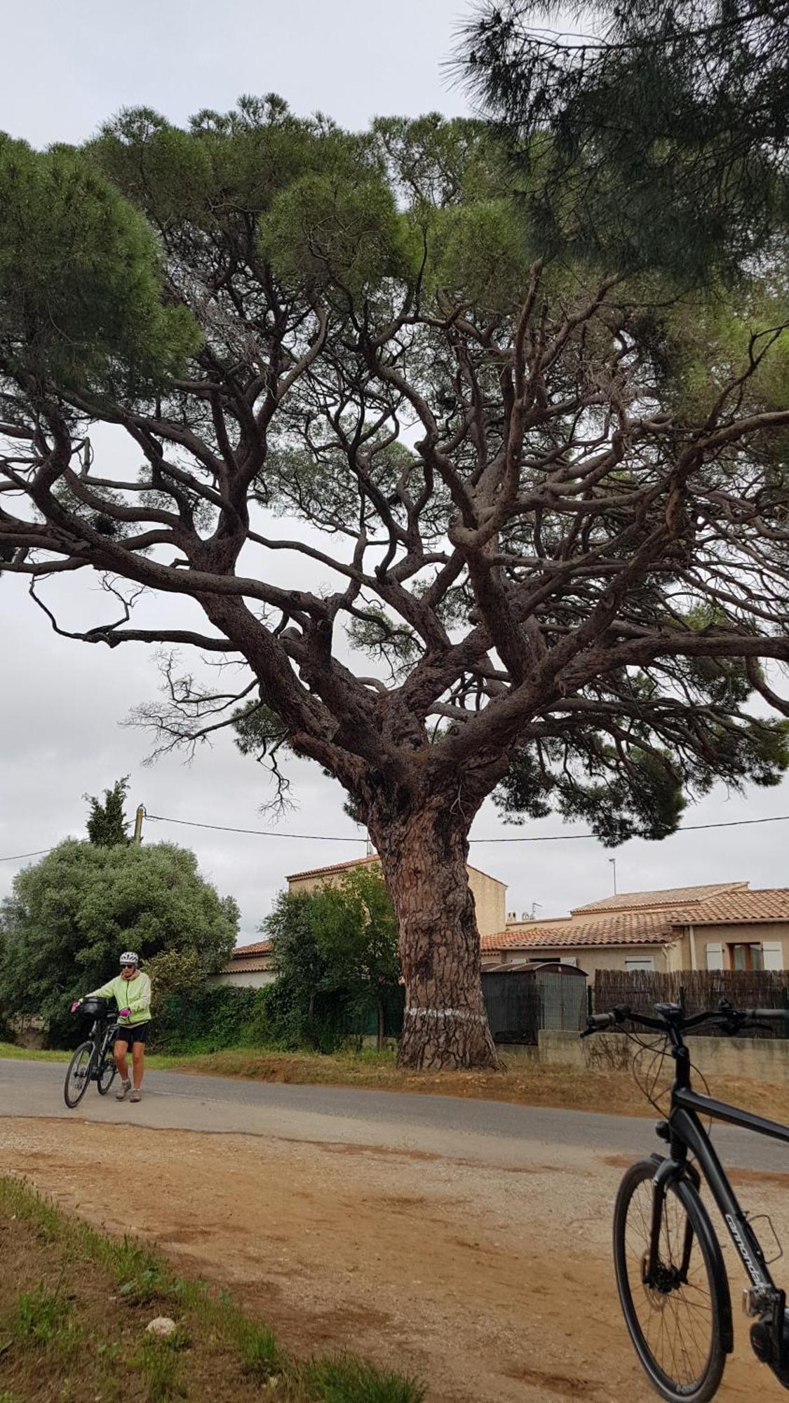 Rez De Jardin T3 Recent Et Calme Au Nouvelles Terres A La Londe Les Maures公寓 外观 照片
