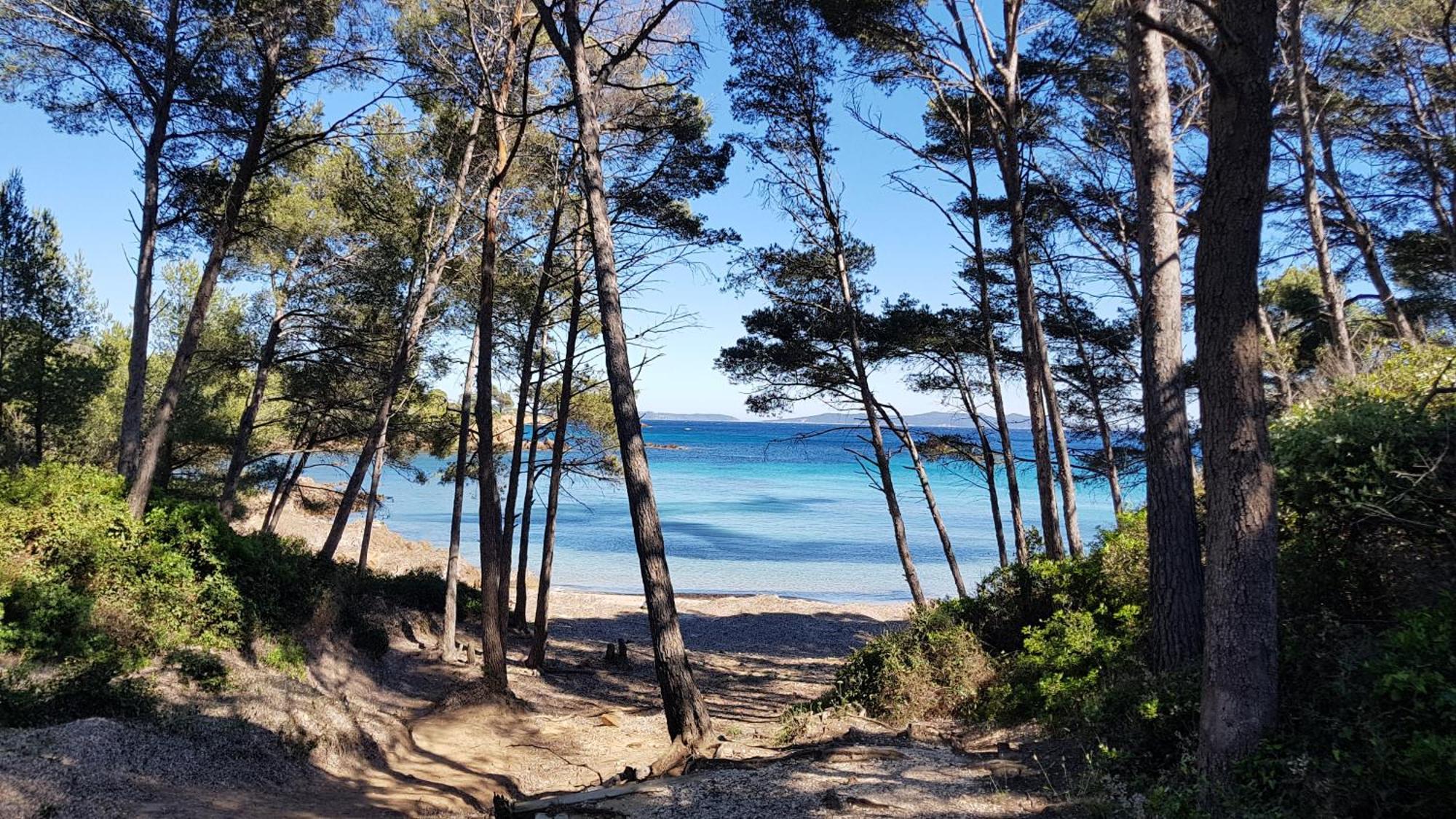 Rez De Jardin T3 Recent Et Calme Au Nouvelles Terres A La Londe Les Maures公寓 外观 照片