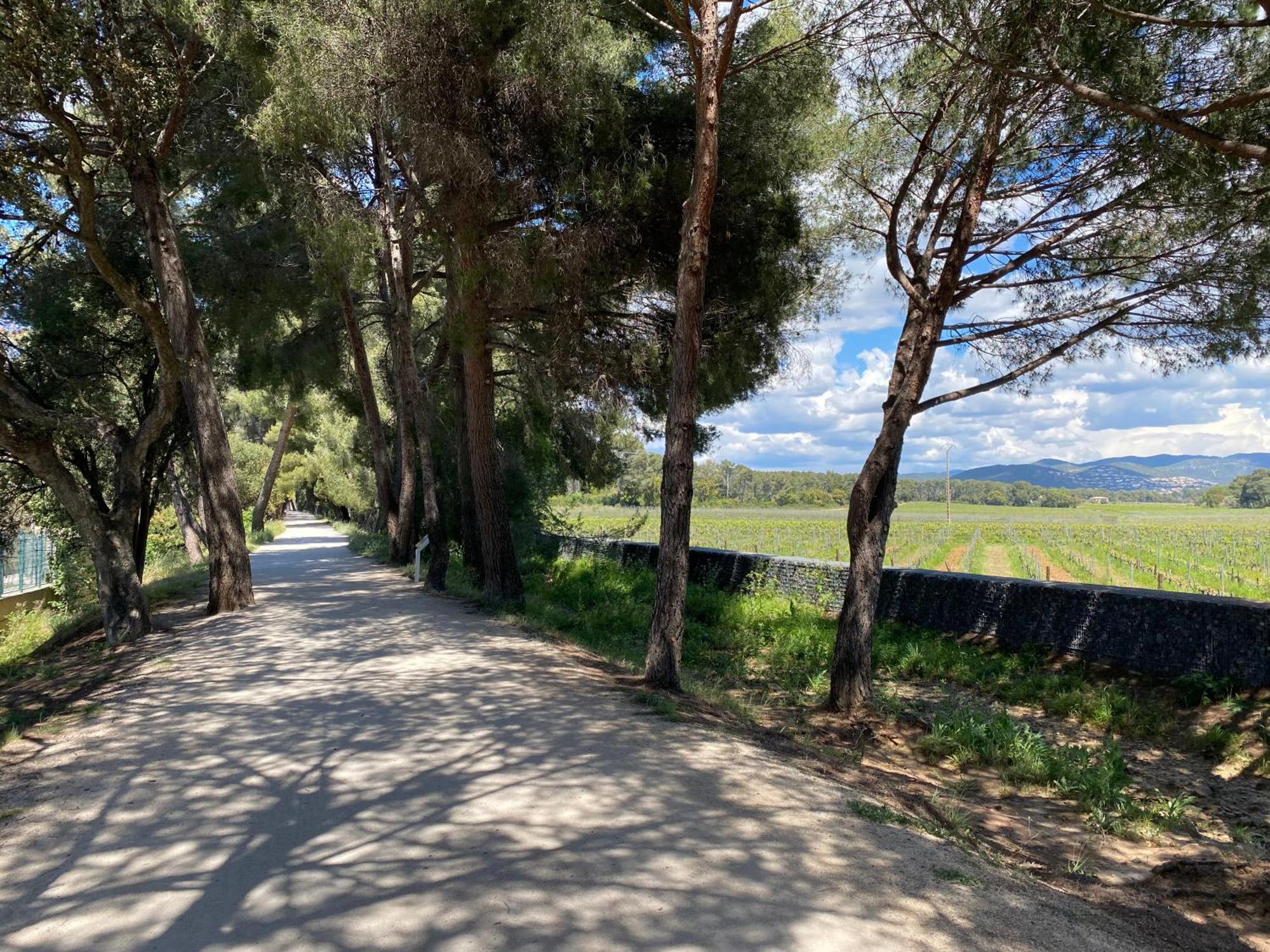 Rez De Jardin T3 Recent Et Calme Au Nouvelles Terres A La Londe Les Maures公寓 外观 照片