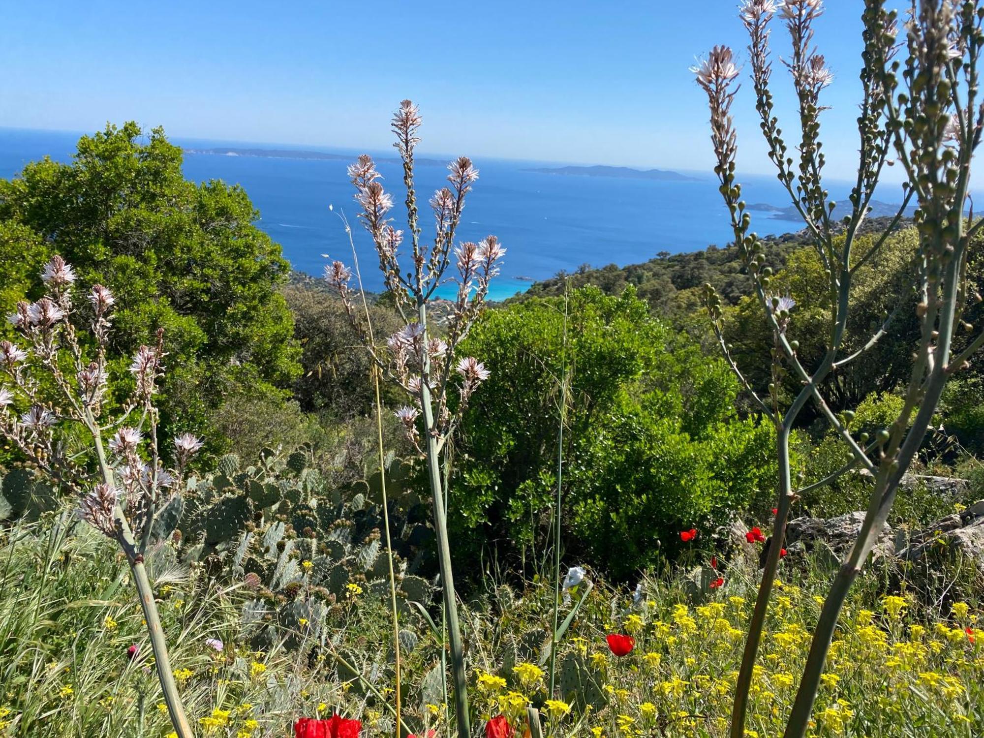 Rez De Jardin T3 Recent Et Calme Au Nouvelles Terres A La Londe Les Maures公寓 外观 照片