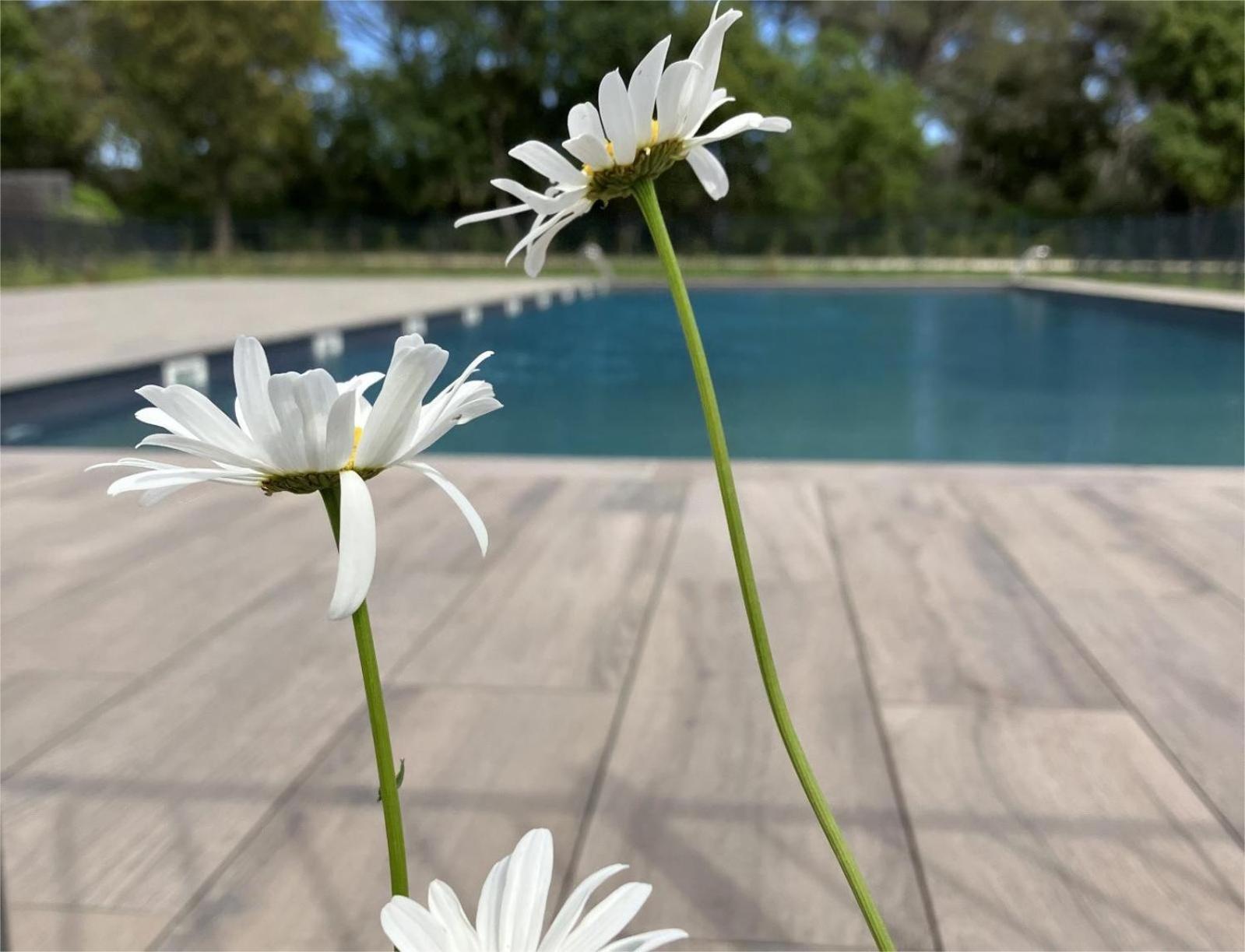 Rez De Jardin T3 Recent Et Calme Au Nouvelles Terres A La Londe Les Maures公寓 外观 照片